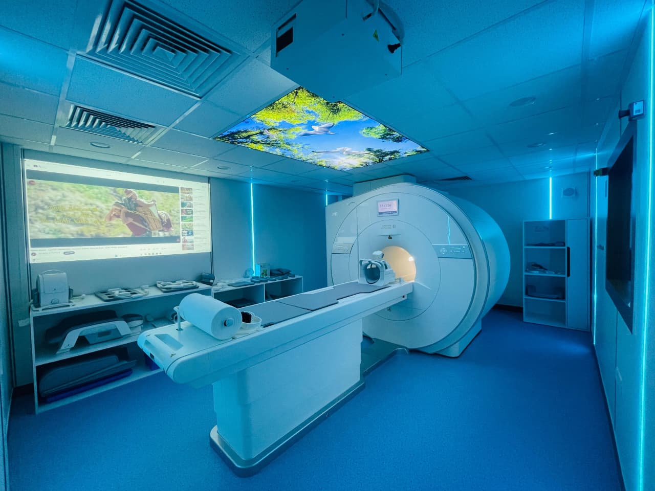 MRI Projection